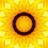 Yellow Ray Chakra