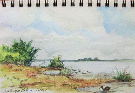 Belize_3 IMG_4833.jpg