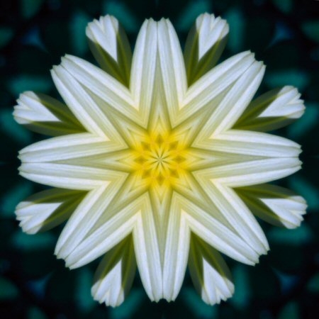 Mandalas 