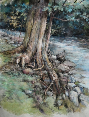 Deeply Rooted