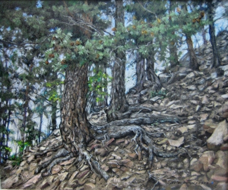 Enduring Ascent