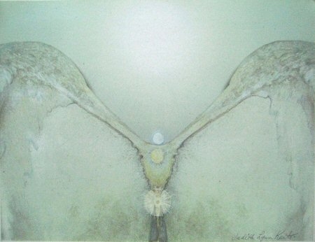 Portal, These Sacred Bones