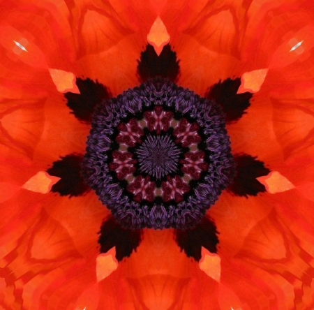 Red Ray Chakra